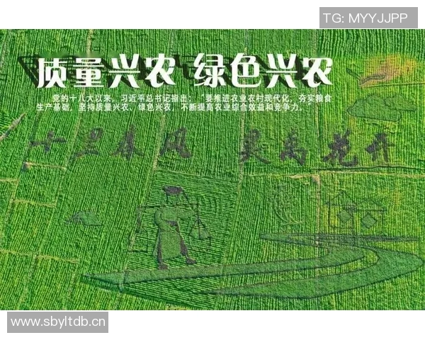 五谷丰登：探寻五大农作物在农业发展中的重要作用与未来前景